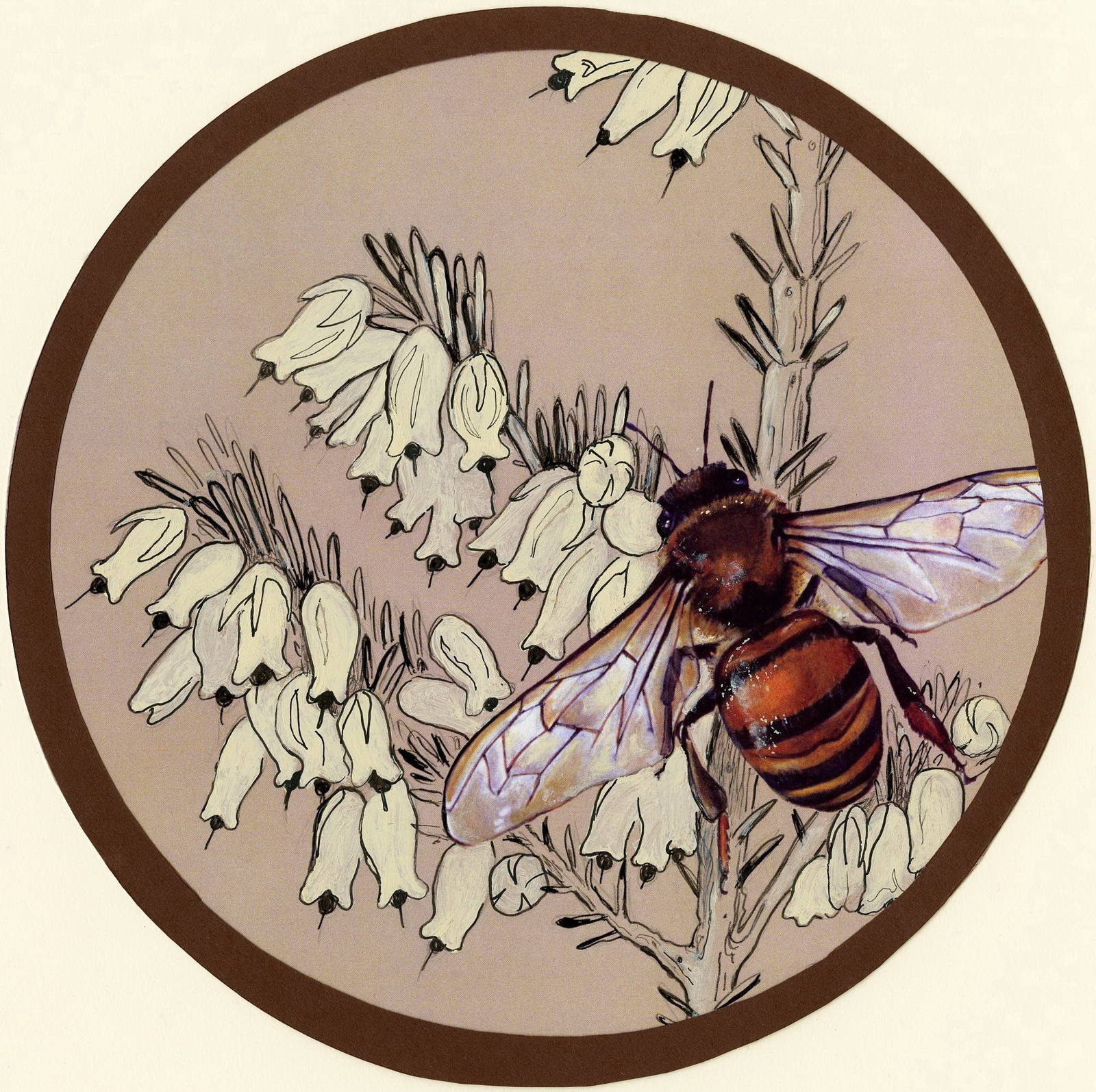 Пчела - медонос Работа неизвестного автора 999