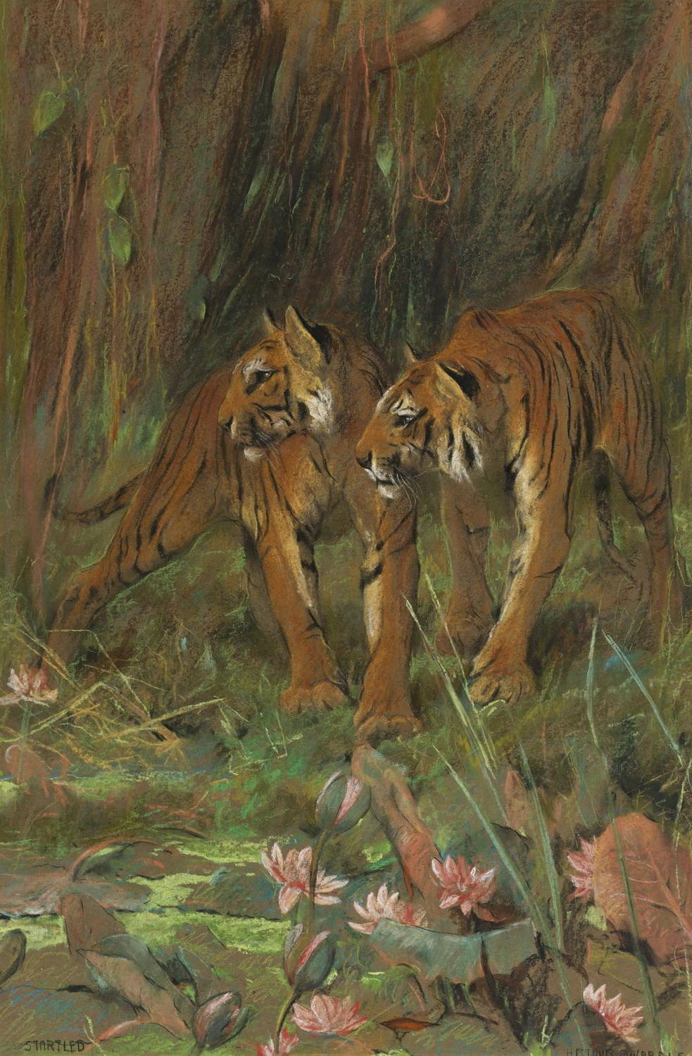 Два тигра Артур Вардл