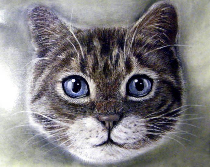Кот с голубыми глазами / Работа неизвестного автора 952 - 