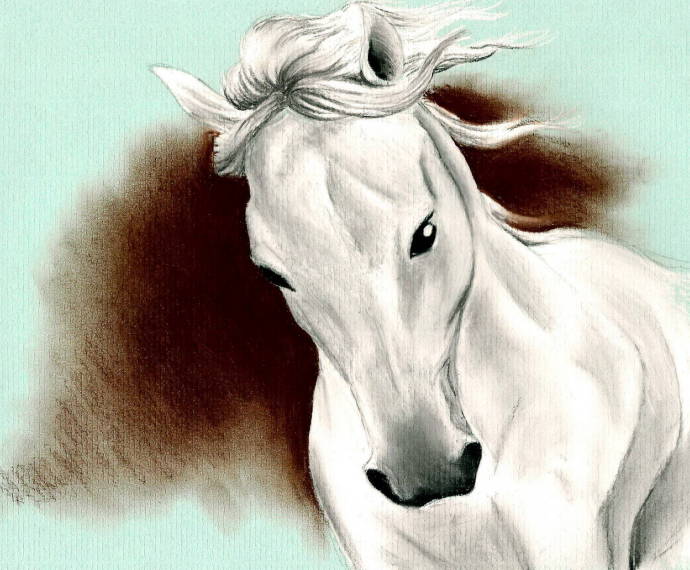 Белая лошадь / Работа неизвестного автора 954 - 