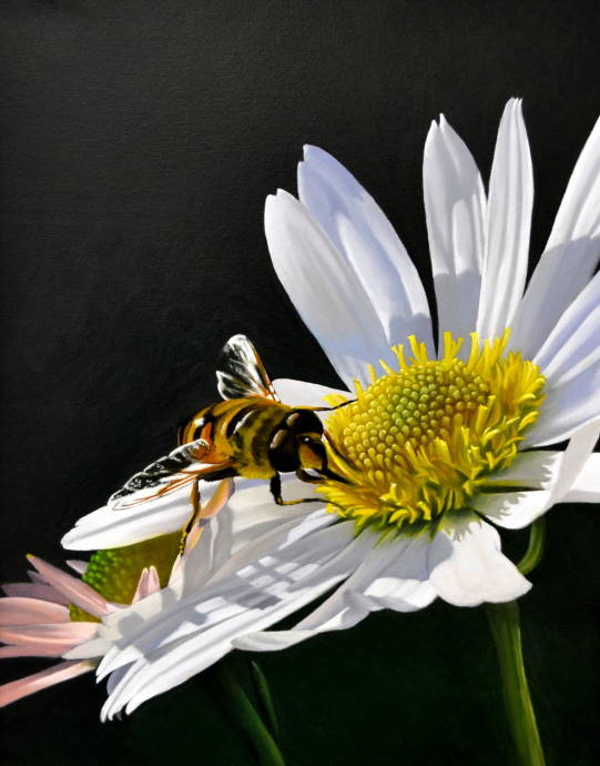 Пчела на цветке / Работа неизвестного автора 003