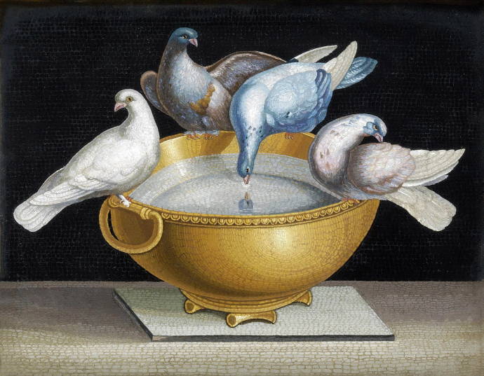 Голуби на чаше / Агостино Франческангели - Agostino Francescangeli