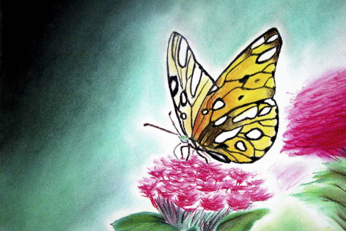 Бабочка на цветке / Работа неизвестного автора 999