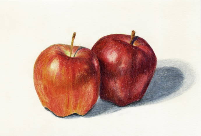 Два яблока / Работа неизвестного автора 999