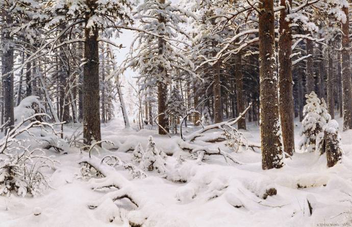 Зима. 1890 г. / Шишкин Иван Иванович - Shishkin Ivan Ivanovich