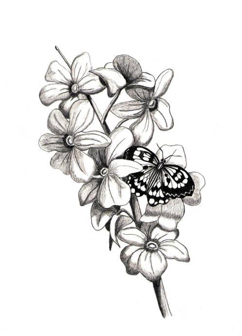 Бабочка на ветке орхидеи / Работа неизвестного автора 999