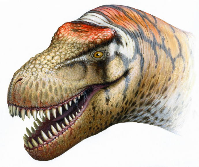 Тиранозавр. Меловой период / Работа неизвестного автора 999