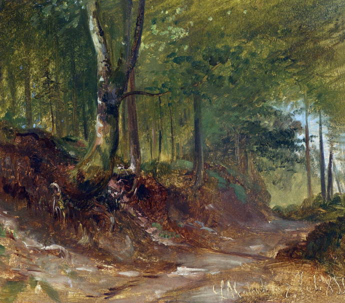 Дорога в лесу. 1855 г. / Людвиг Халушка - Ludwig Halauska