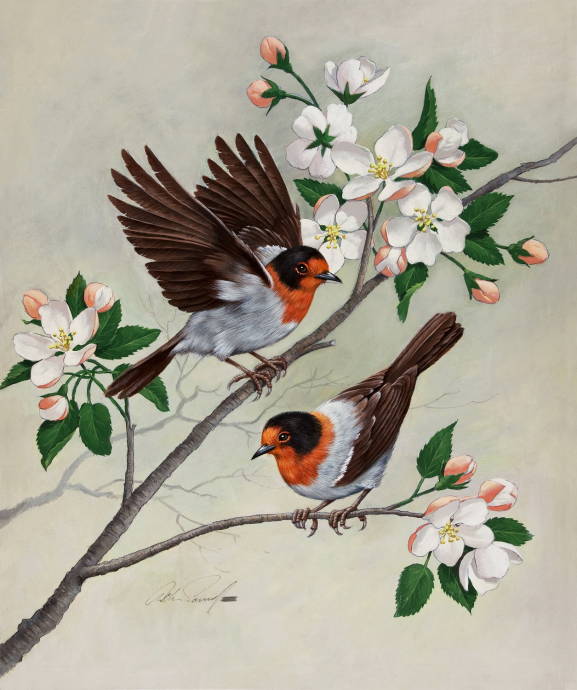 Красногрудые птицы на ветке яблони / Артур Сарон Сарнофф - Arthur Saron Sarnoff