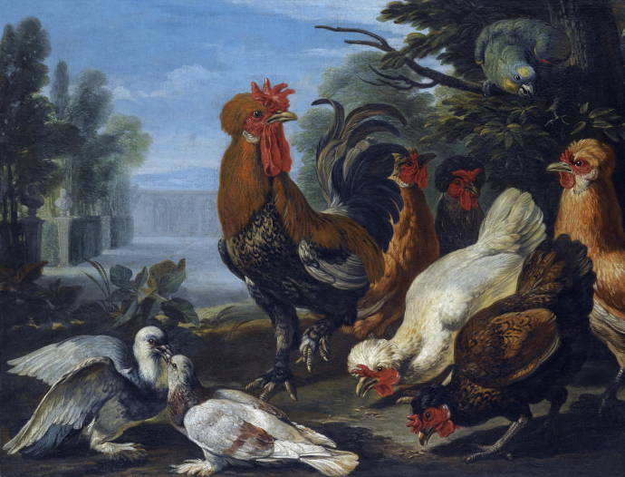 Натюрморт из куриц, голубей и попугая / Дэвид де Конинк - David de Coninck