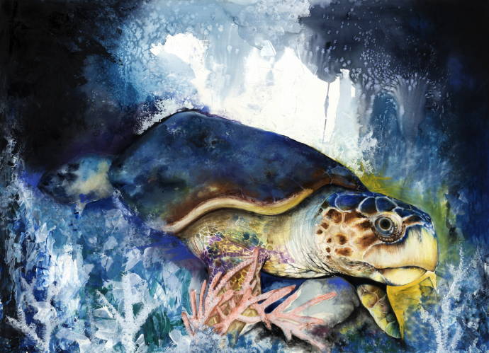 Длинноголовая морская черепаха / Работа неизвестного автора 032