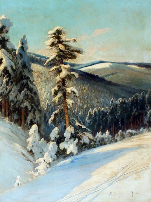 Горный пейзаж с деревьями, покрытыми снегом / Франц Шрейер - Franz Schreyer