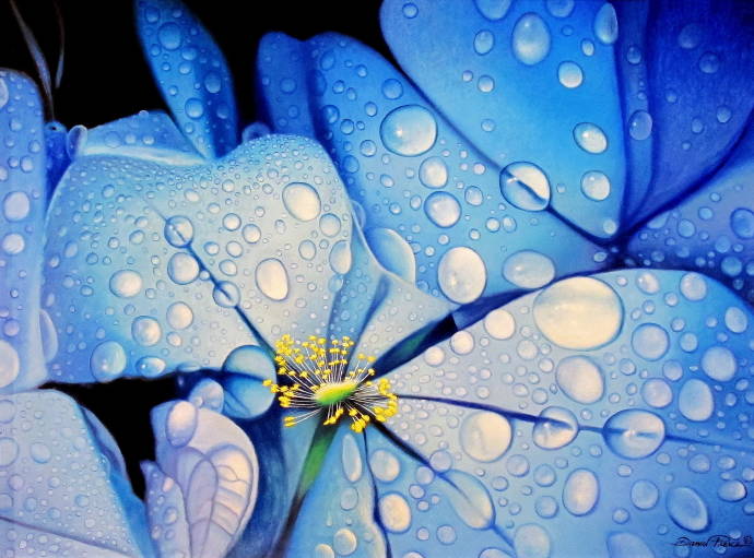 Голубые цветы / Дэниел Рэнн Пирс - Daniel Renn Pierce