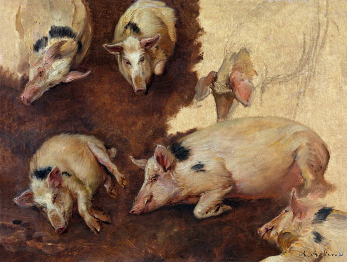 Зарисовка из шести свинюшек / Андерс Монсен Аскевольд - Anders Monsen Askevold