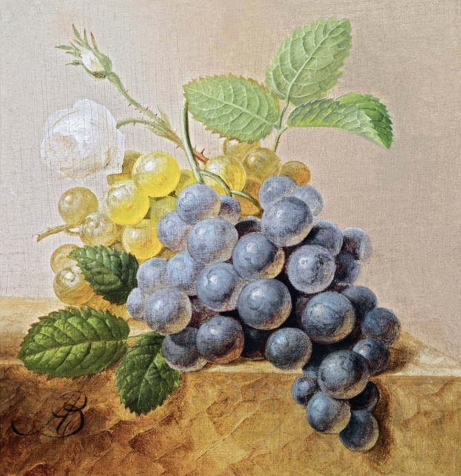 Грозди виноградов / Арнольдус Блёмерс - Arnoldus Bloemers