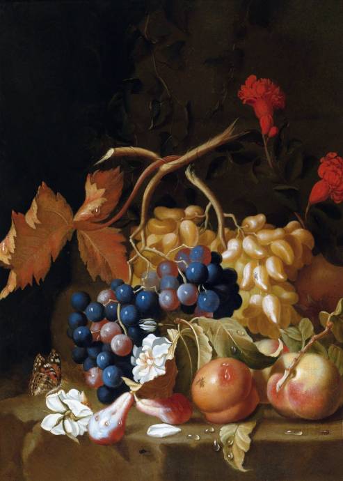 Натюрморт из винограда, персика и бабочки / Якоб Богданий - Jakob Bogdany