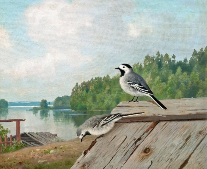 Маленькие птички на крыше / Фердинанд фон Райт - Ferdinand von Wright