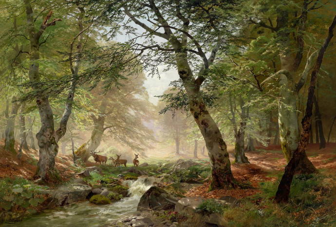 Лесной пейзаж с оленями / Генрих Бёмер - Heinrich B