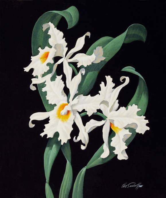 Орхидея в темноте / Артур Сарон Сарнофф - Arthur Saron Sarnoff