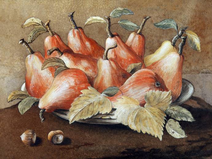 Натюрморт с грушами и лесными орехами / Джованна Гарцони - Giovanna Garzoni