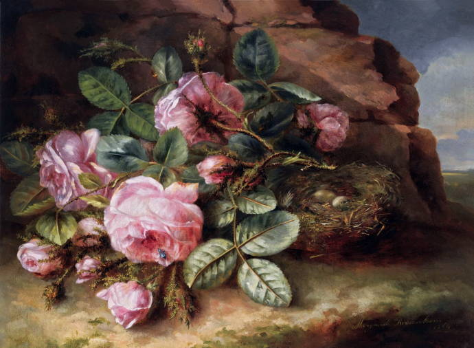 Розы и гнездо / Маргарета Роузенбум - Margaretha Roosenboom