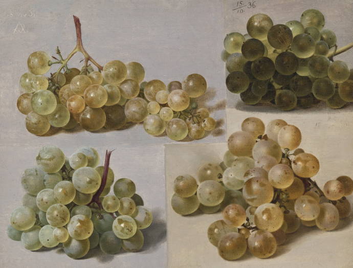 Натюрморт с гроздьями / Йохан Вильгельм Прейер - Johann Wilhelm Preyer