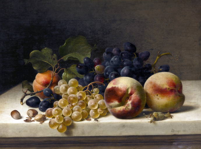 Сливы, персик, виноград / Йохан Вильгельм Прейер - Johann Wilhelm Preyer