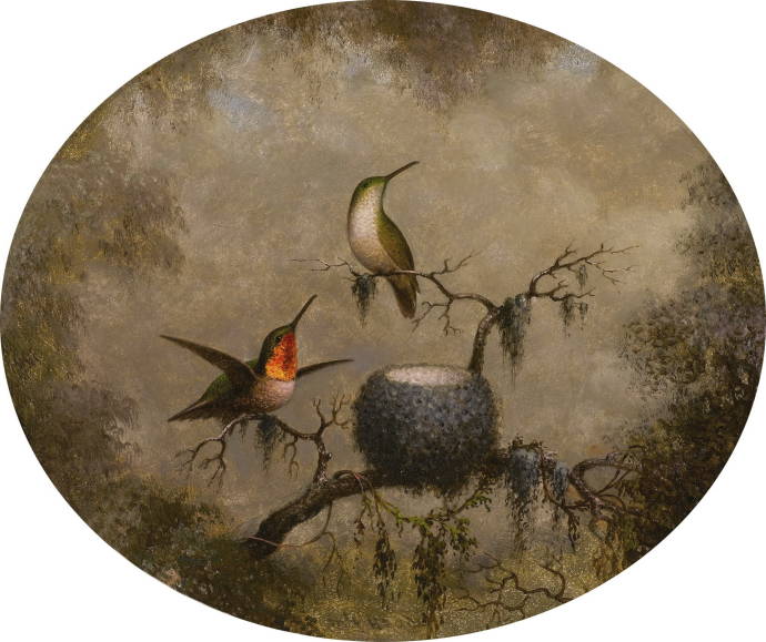 Колибри у гнезда. 1863 г. / Мартин Джонсон Хед - Martin Johnson Heade