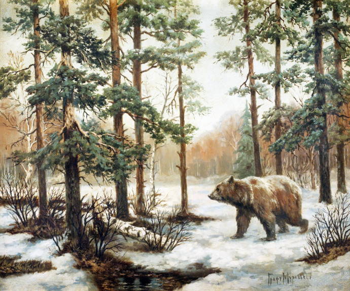 Медведь в лесу / Муравьёв Владимир Леонидович - Muraviov Vladimir Leonidovich