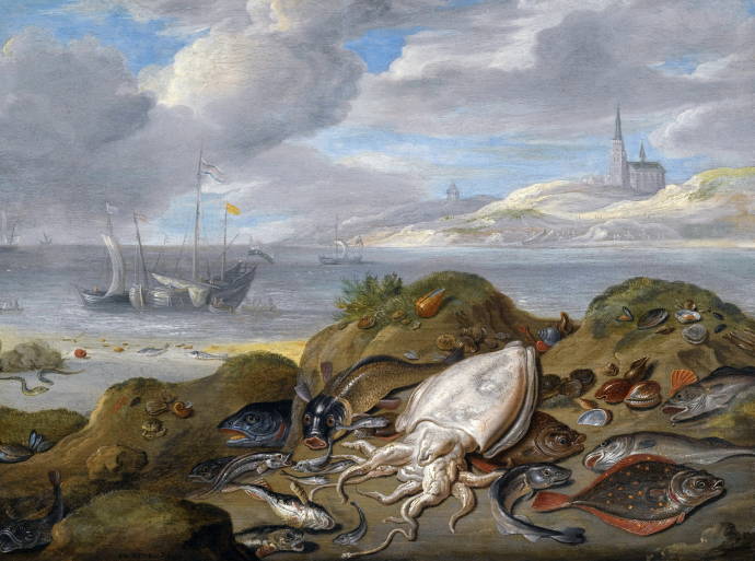Натюрморт из каракатиц и морких животных / Ян ван Кессель ст. - Jan van Kessel the Elder