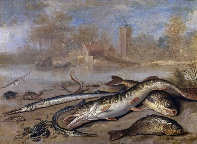 Натюрморт с рыбой и крабами / Ян ван Кессель ст. - Jan van Kessel the Elder