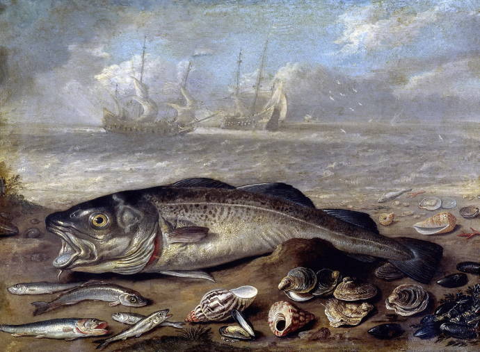 Рыбы и раковины на берегу / Ян ван Кессель ст. - Jan van Kessel the Elder