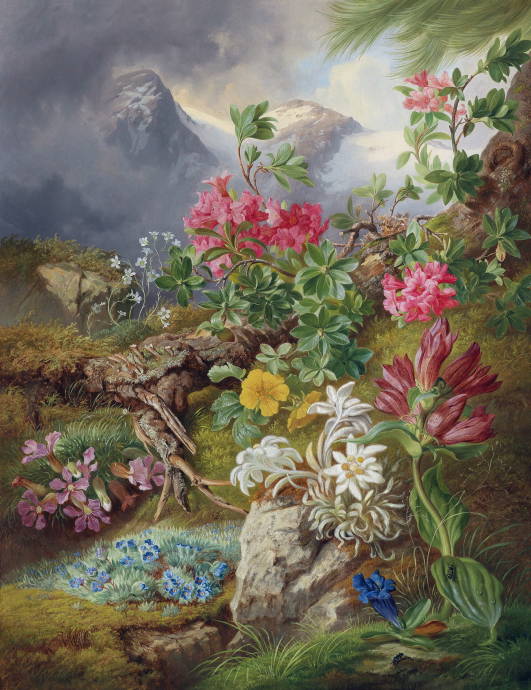 Натюрморт с альпийскими цветами / Йозеф Шустер - Josef Schuster