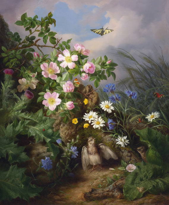 Большой натюрморт с шиповником, бабочкой и птицей. 1870 г. / Йозеф Лауэр - Josef Lauer