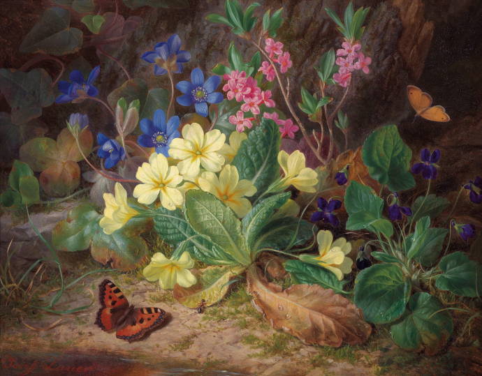Лесные цветы, бабочка и муравей / Йозеф Лауэр - Josef Lauer