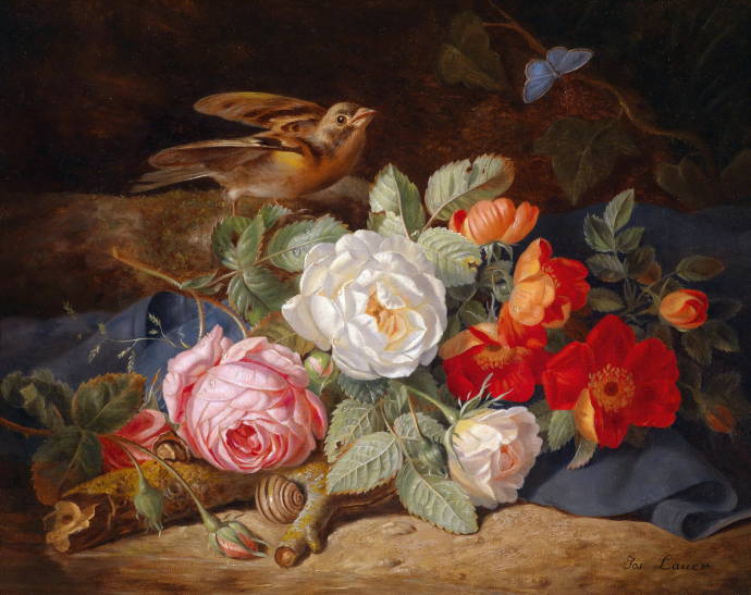Птица и розы / Йозеф Лауэр - Josef Lauer