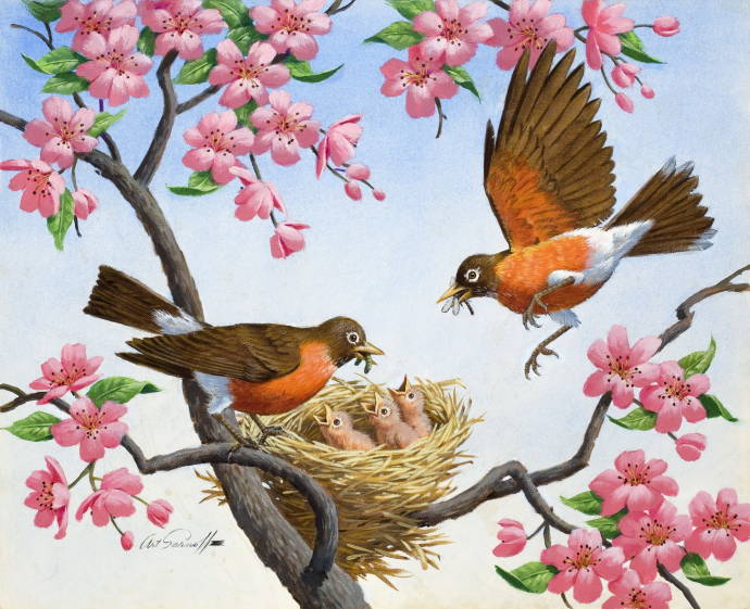 Красногрудые птицы у гнезда / Артур Сарон Сарнофф - Arthur Saron Sarnoff