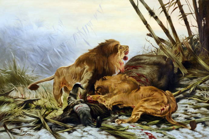Львы в троснике / Ричард Фриз - Richard Friese