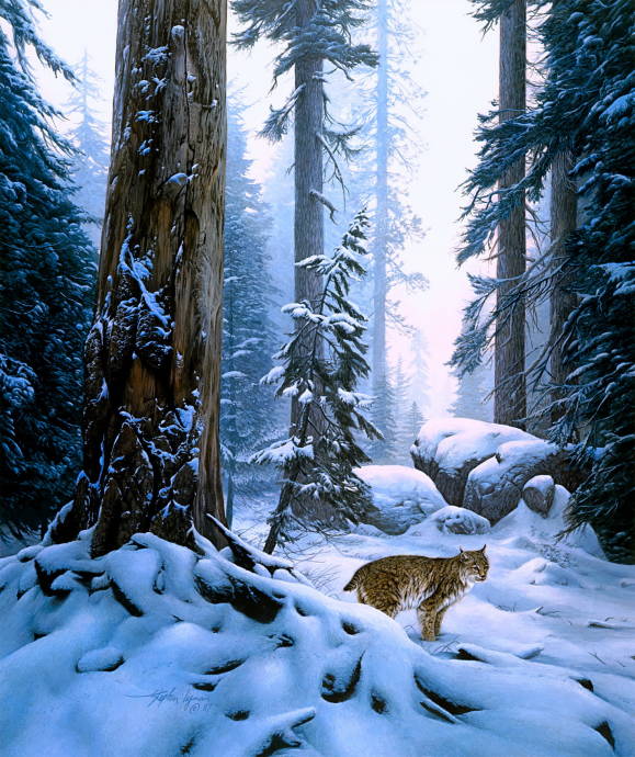 Снежный охотник / Штефен Лиман - Stephen Lyman