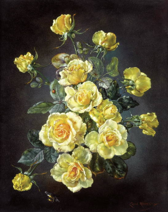 Жёлтые розы / Сесил Кеннеди - Cecil Kennedy