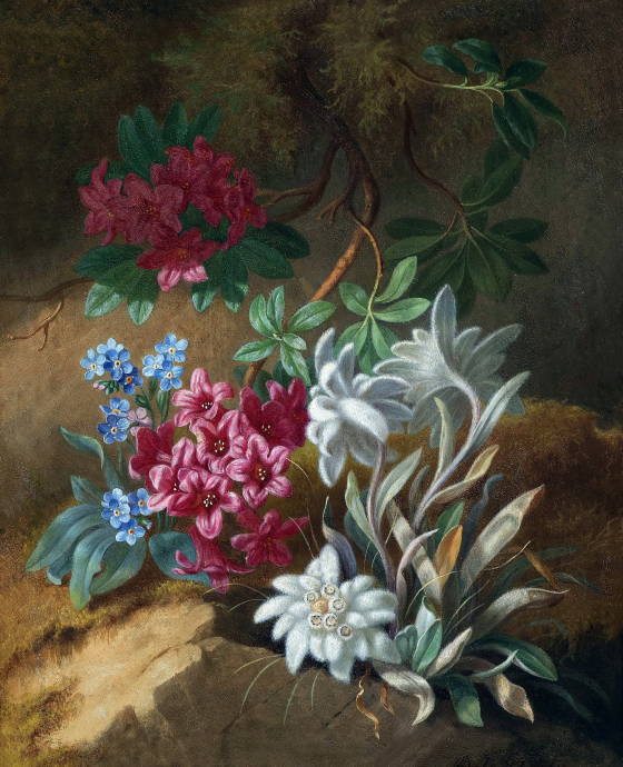 Альпийские цветы / Адель Шустер - Adele Schuster
