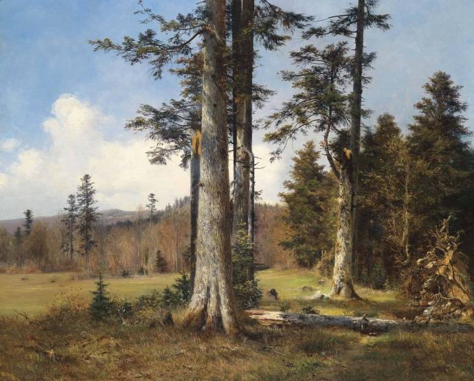 Вид на лесной поляне. 1890 г. / Антон Диффенбах - Anton Dieffenbach