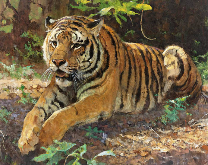 Тигр / Боб Кун - Bob Kuhn