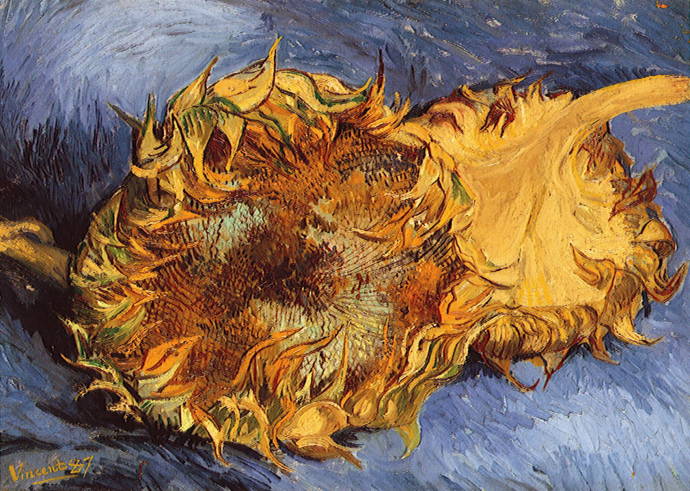 Два срезанных подсолнуха / Винсент Вильям Ван Гог - Vincent William van Gogh