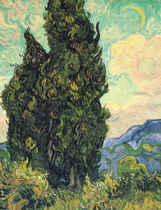 Кипарис. 1889 г. / Винсент Вильям Ван Гог - Vincent William van Gogh