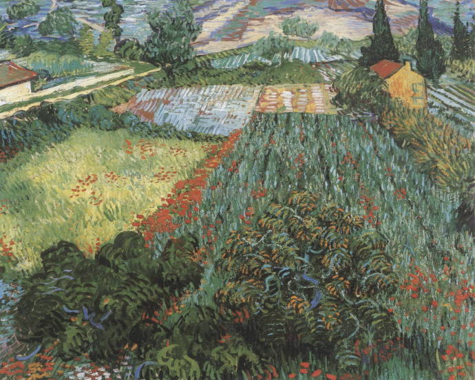 Маковое поле / Винсент Вильям Ван Гог - Vincent William van Gogh