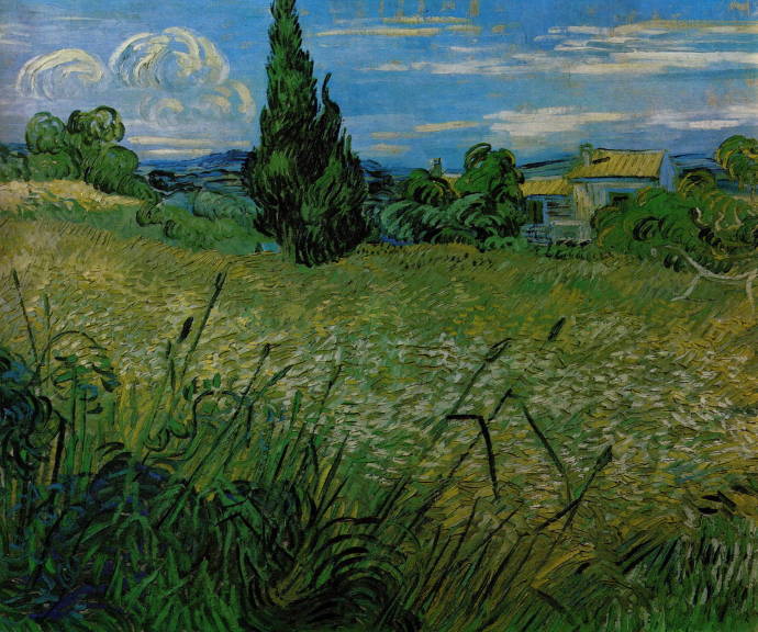 Поля зеленой пшеницы с кипарисами / Винсент Вильям Ван Гог - Vincent William van Gogh