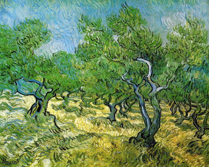Роща олив / Винсент Вильям Ван Гог - Vincent William van Gogh