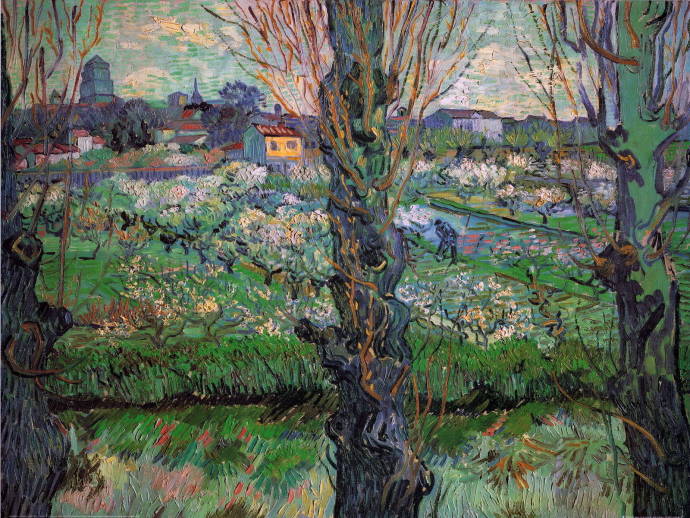 Фруктовый сад в цвету с тополями / Винсент Вильям Ван Гог - Vincent William van Gogh