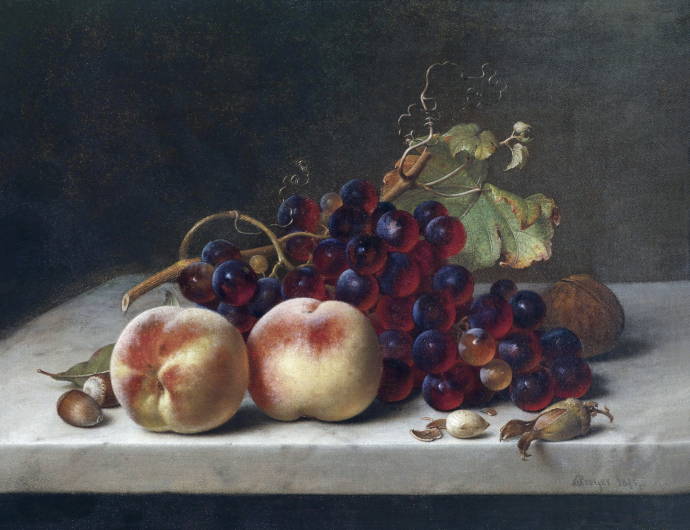 Натюрморт с фруктами и фундуком / Йохан Вильгельм Прейер - Johann Wilhelm Preyer